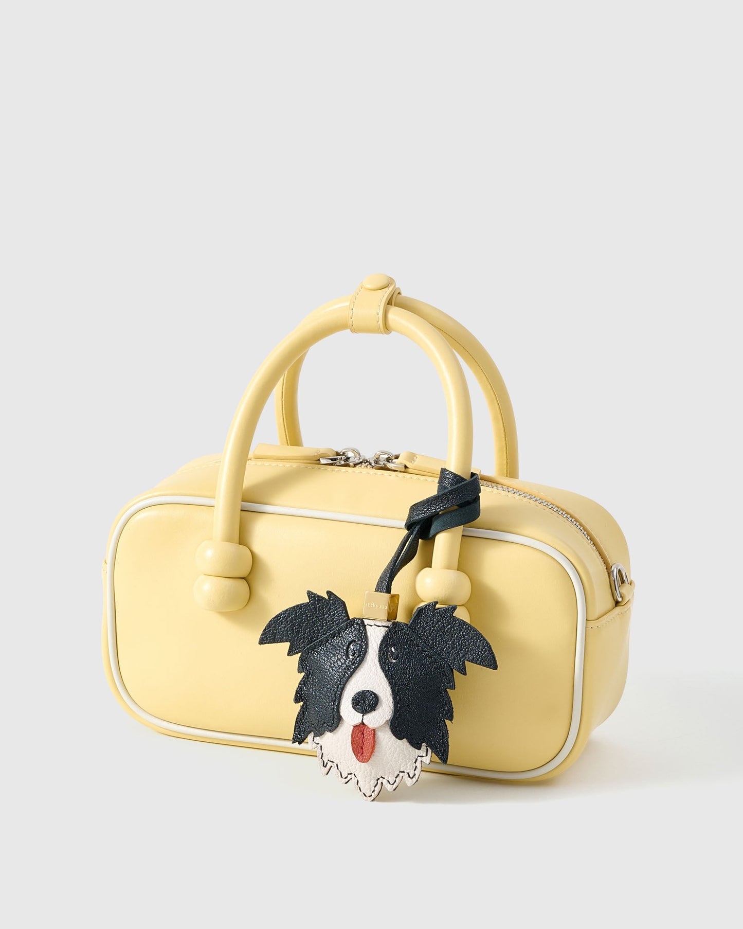 BORDER COLLIE CHARM