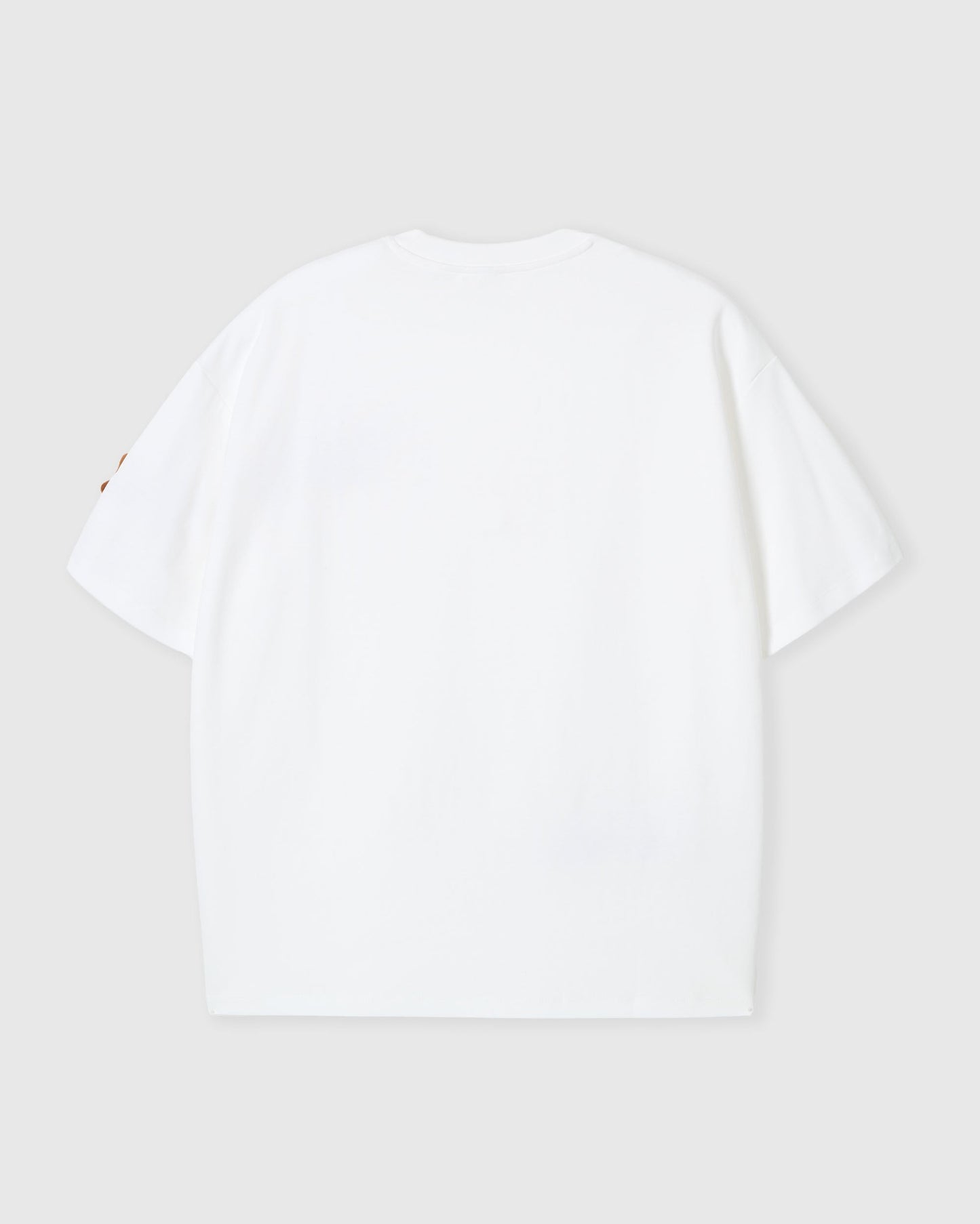 DACHSHUND PARADE T-SHIRT