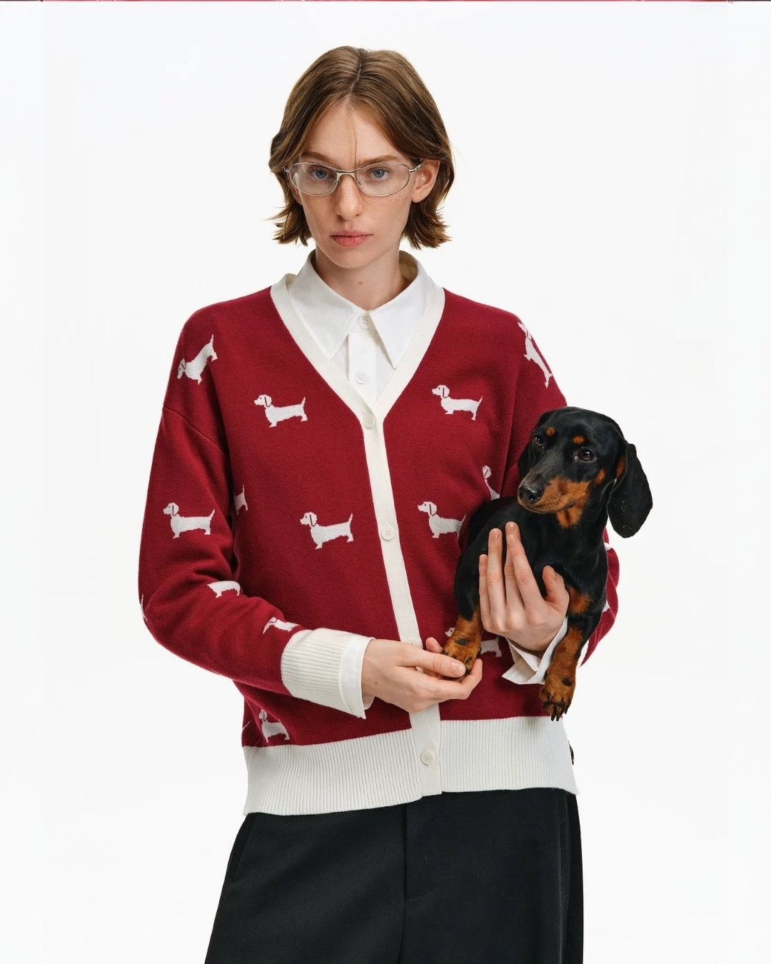 DACHSHUNDS CARDIGAN