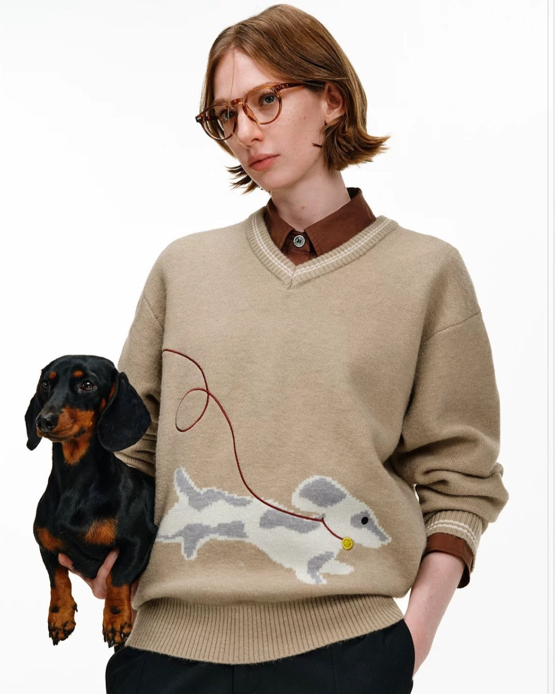 DACHSHUNDS SWEATER
