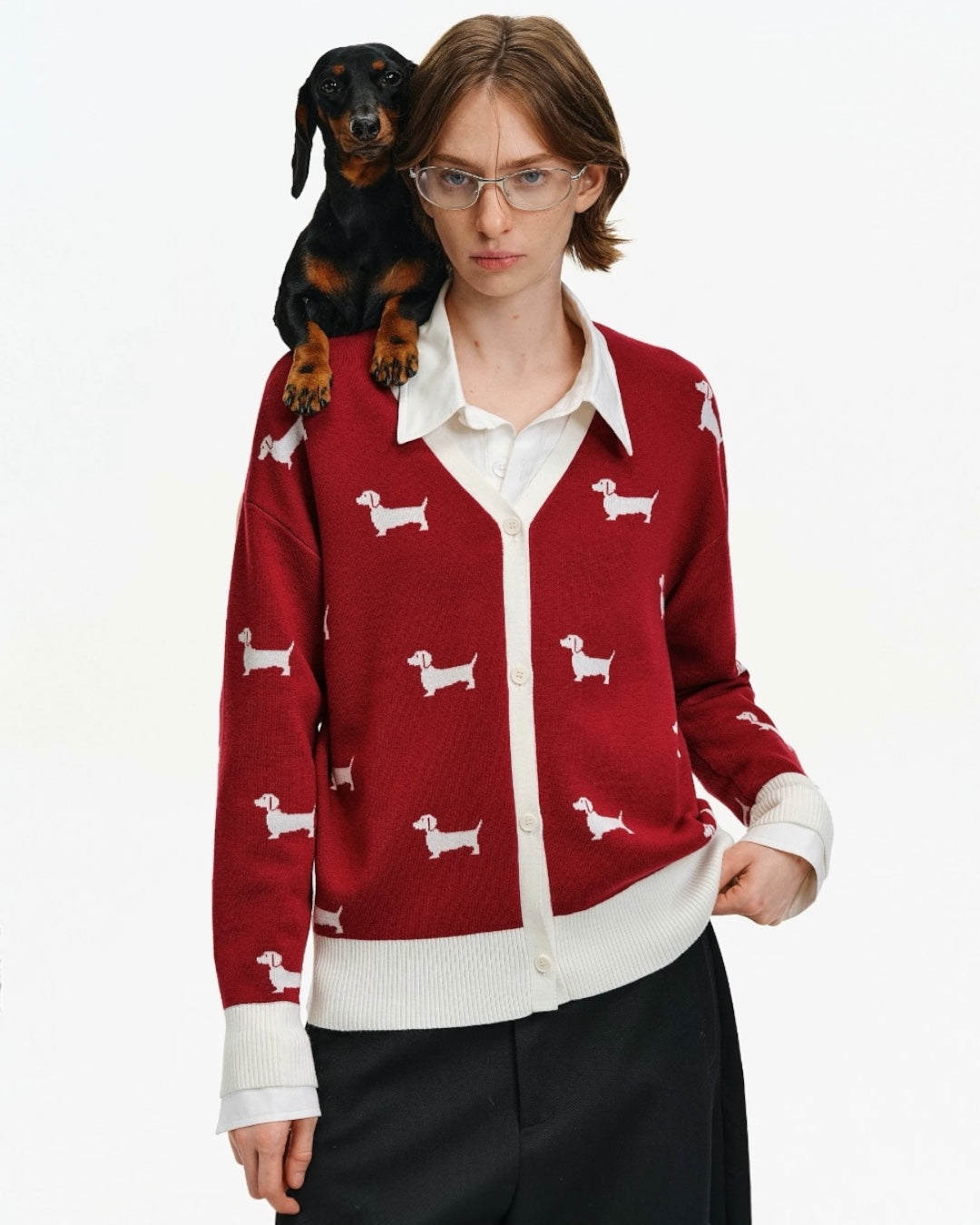 DACHSHUNDS CARDIGAN