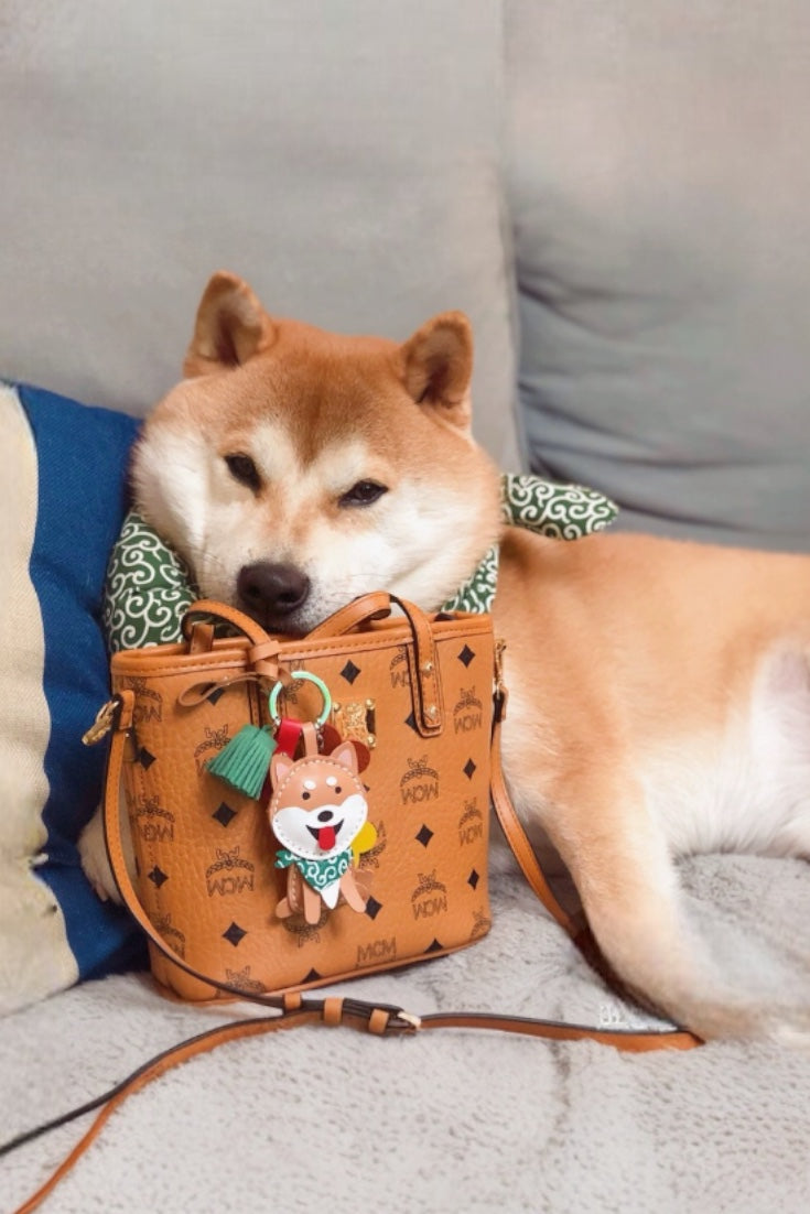 SHIBA CHARM