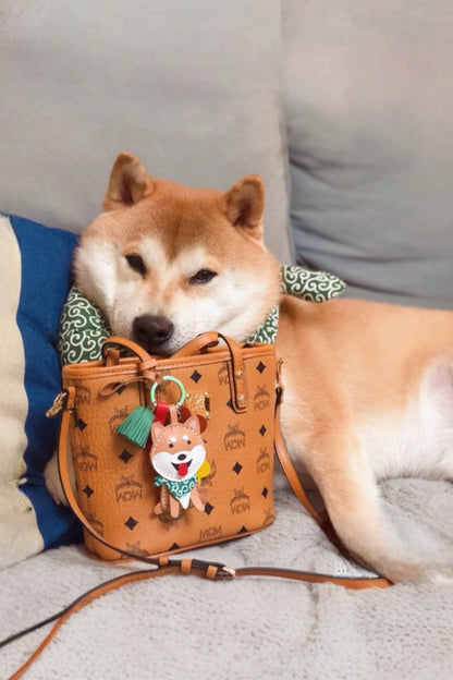SHIBA CHARM